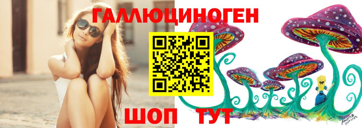 Людиново  Псилоцибиновые грибы Psilocybe  Вход с VPN 